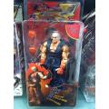 NYT 18Cm Neca Ken Guile Hoshi Ryu Action Figure Model Toys Doll For. 