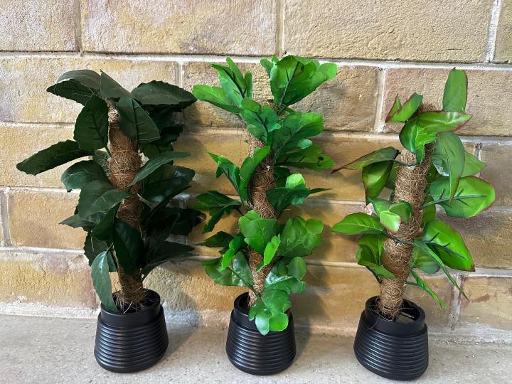 Breezy%20Tall%20Fiddle%20Leaf%20Fig%20Tree%20in%20Pot%20-%20Decorative%20Indoor%20Plant%20-%20Image%206