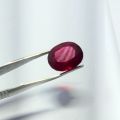 Natural Hessonite Garnet (Gomed) Gemstone 16.5 crt ± 1crt For Men or Women Ring. 