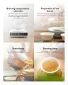 KHS Green Tea Loose Leaf, 100gm Organic Green Tea Leaves Fresh. 