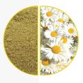 Chamomile Flowers Powder گل بابونہ پاوڈر Babanphul - zipper packing (100-g powder). 
