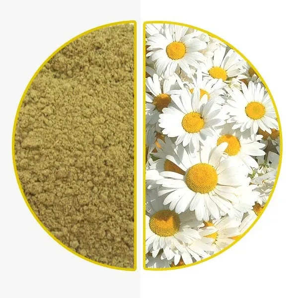 Chamomile%20Flowers%20%DA%AF%D9%84%20%D8%A8%D8%A7%D8%A8%D9%88%D9%86%DB%81%20(100-g%20powder)%20%7C%20Hakeem%20Lahori%20-%20Image%202