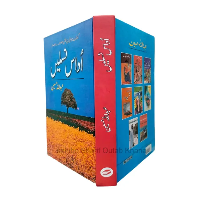 Udaas%20Naslain%20Novel%20By%20Abdullah%20Hussain%20-%20Image%203