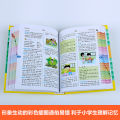Primary school English-Chinese Chinese-English dictionary color version students practical English-Chinese Chinese-English dictionary primary and secondary school new version of the big English dictionary English-Chinese bilingual small dictionary Daquan. 