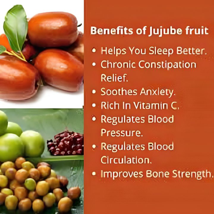 Natural%20Grown%20Organically%20Dried%20Jujube%20(Unaab%20/%20Unab)%20250%20Gram%20-%20Image%202