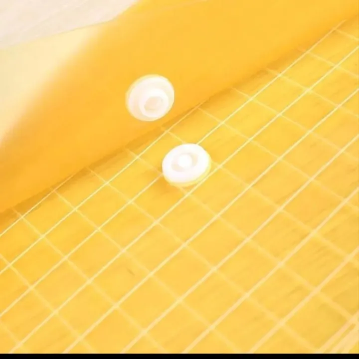 Clear%20Bag%20file%20for%20Documents%20(6%20Pcs)%20-%20Clear%20Bag%20Transparent%20Button%20File%20-%20Clear%20Filing%20Document%20Bags%20-%20MultiColour%20Plastic%20Folder%20Legal%20Size%20-%20Image%202