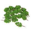 【Simple 3C】20 Pcs 70mm Scale Architectural Model Trees Railroad Layout Garden Landscape Scenery Miniatures Tree. 