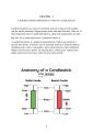 Basic To Advance Level Binary Quotex Trading Book In English - Binary Option Trading Bible  - All Market Trading Strategies Book - Binary Option Trading & 30 + Sureshot Patterns. 