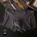 3D Spandex Luxury Men Boxers L-XXXL Underwear Shorts Seamless Antibacterial High Quality Popular 1PC Ice Silk Panties. 