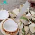 Green Home Coconut Shaver Professional Coconut Egg Scraper Coconut Meat Extractor. 