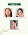 Mama Organic Tea Tree Oil Free Face Moisturizer - 80ml For Acne & Pimple With Tea Tree & Neem Extract. 