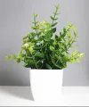 Artificial Plants Mini Potted Plant Small Greenery Decor for Indoor Home Farmhouse Aesthetic Bedroom Shelf Office Desk Bathroom Decoration. 