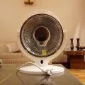 Sun Halogen Electric Dish Heater 300/600 Watt. 