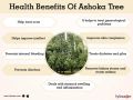 ASHOKA BARK POWDER|ASHOKI CHAL|250 GRAM. 