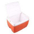 Cool Ice Box Small Cooler Portable ideal for Camping & Hiking Storing bottles, can. 