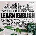 Sabnas Learn English Text Chart Wall Decal Sticker Vinyl 24 X 18 Inches Wall Decor Stickers For Educational Institutes Office school Study room Library centers home Student Black color. 