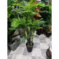 palm plant tree for decor customized. 