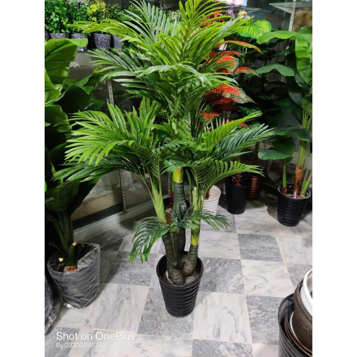 palm plant tree for decor customized
