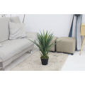Imported artificial Yucca Plant with black Planter. 