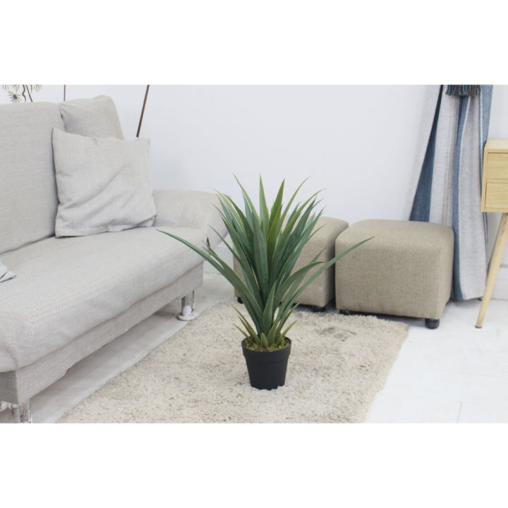 Imported%20artificial%20Yucca%20Plant%20with%20black%20Planter%20-%20Image%205