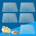 Portable 5pcs 88 Eggs Incubator Tray , Chicken Duck Tray Egg Hatcher Storage Container for Home Farm Nestling Hatching. 