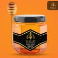 Khails Robina Honey || 500 Grams|| Wild Robinia Flowers (Black Locust Trees)  || Its Khalis || Light Gold || Anti Bacterial || Anti Inflammation || Promotes Hair Growth || Weight Loss || Prevents Cancer || Heal Wounds. 