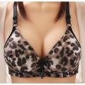 Pack Of 1 Beautiful Cheetah Printed Padded Bra For Girls And Women Adjustable Straps Push Up Bra. 