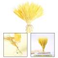 100 Stems Dried Wheat Stalks, Natural Dried Wheat Sheaves Fall Flower Arrangement Wheat Bouquet Bundle for DIY Home Table Wedding Xmas Decor. 