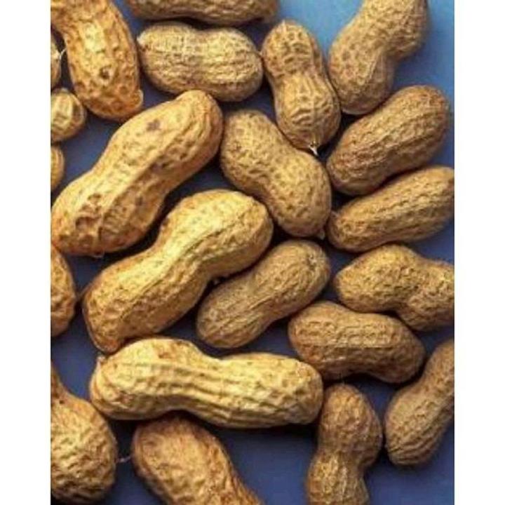 Mong Phali Peanuts 500G