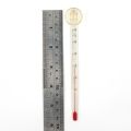 Aquarium Fish Tank Water Temperature Glass Thermometer With Suction Cup. 