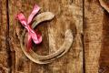 Old Rusty Vintage Metal Horseshoe Antique Wall or Door Decor. 