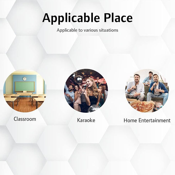 CAROL%20GS-55%20Multi-purpose%20Dual%20Impedance%20Vocal%20Dynamic%20Microphone%20-%20Cardioid%20Pattern%20-%20Image%207