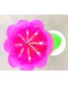 Intellectual Birthday Rose Candle - Multi-Color. 