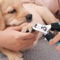 Dog Nail Clippers - Professional Pet Nail Clipper & Trimmer with Safety Guard | Includes Nail File for Cats & Dogs. 