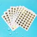 350 PVC Stickers Golden Star Self Adhesive Removable Sparkle Rewards Funny Stickers For Teacher Encourage Students Kids. 
