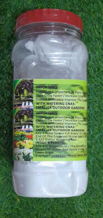 Imported%20Potash%20Fertilizer%20-%20Powder%20Form%201kg%20Jar%20(1000gm)%20-%20for%20Gardens,%20Lawns,%20and%20Trees%20-%20Image%203