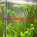 Qty 8 Aquatic plant, Jungle val aquarium decoration. 