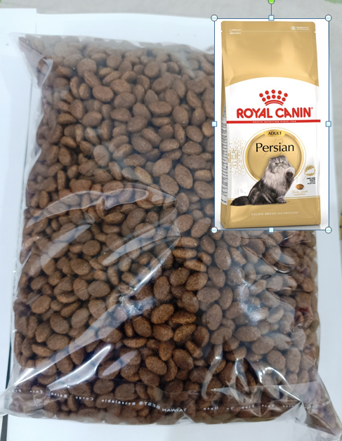 Royal Canin Persian Adult Cat Food Open Zip Lock Packing available in 200 500 and 1000 Gram  for Persian Cats Long Hair and Growth