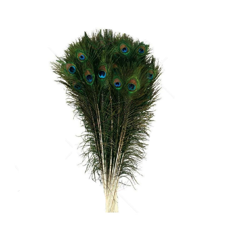 Artisan - 20Pcs Peacock Feathers - Size 70cm-80cm Height (Natural Original Real) peacock feather