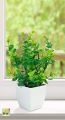Mini  Artificial Plants Mini Potted Plant Small Greenery Decor for Indoor Home Farmhouse Aesthetic Bedroom Shelf Office Desk Bathroom Decoration. 