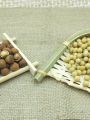 2023 New Hazelnut Northeast Specialty Wild Hazelnut Small Fruit Full Water Leak Hand Pat New Nuts Dried Fruit Snacks. 
