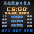 CSGO power leveling level 5E rating matching liver dark gold counter perfect B5 snake bite torrent big action. 
