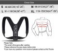 ADJUSTABLE Body Posture Corrector Belt (Back & Shoulder Support Brace) for Men & Women. 