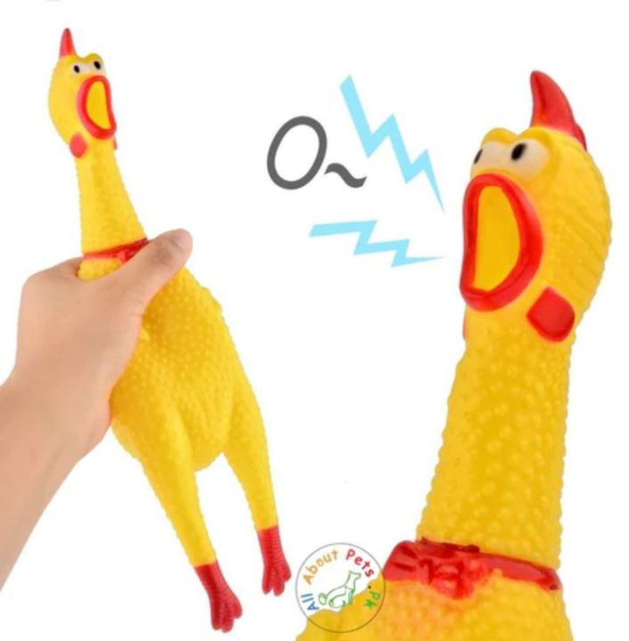 Rubber Chiken Murgga Rubber/ Best Toys