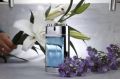 Royal Blue Perfume For Men | Royal Blue Original Tin Perfume (100 ml). 