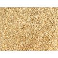 Canary Seeds Organic Natural Whole Birds Food 1000gm. 