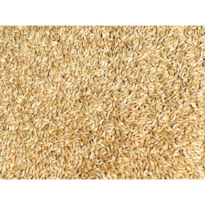 Canary Seeds Organic Natural Whole Birds Food 1000gm