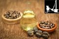KOLHU WALE |"Castor Oil: Nature's Versatile Elixir for Health and Beauty"| COLD PRESSED, UNDILUTED, MULTI PURPOSE | ARANDI KA TAIL | ROGHAN ARANDI. 