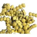 Kikar Phali Powder|100:gram| - Babul Fali Powder - Babool Phali Powder. 