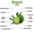 Bergamot Essential Oil, 100% Pure Therapeutic Grade, Steam Distilled, 100% Pure, Vegan, Aromatherapy, Diffuser, Ceramic Diffuser, Pure, Concentrated, EO, Aroma Diffuser. 